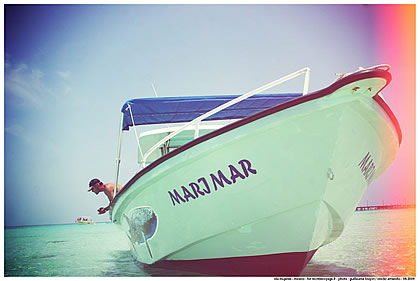 onickz photo boat whale shark